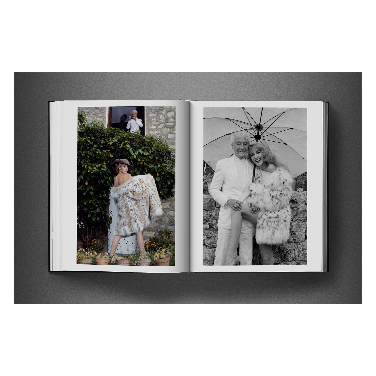 David Bailey. Eighties (English) Book