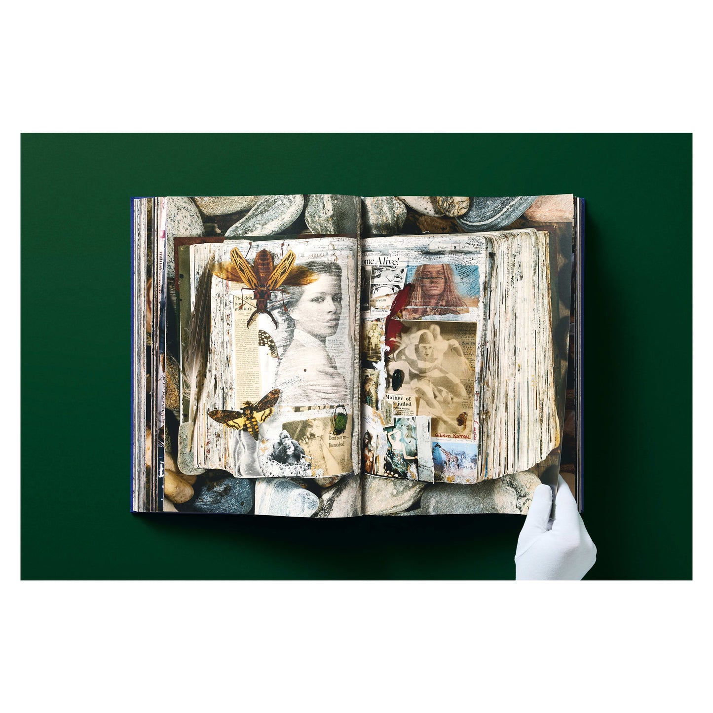 Peter Beard (German, French, English) Book