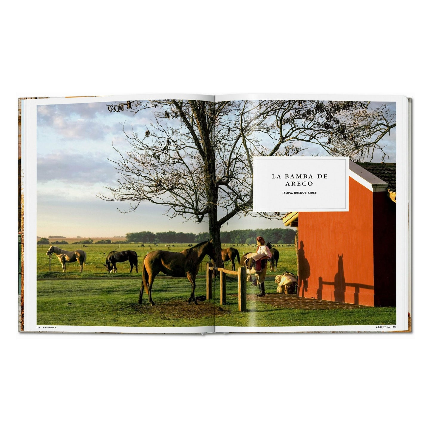 Great Escapes Latin America. The Hotel Book (German, French, English) Book
