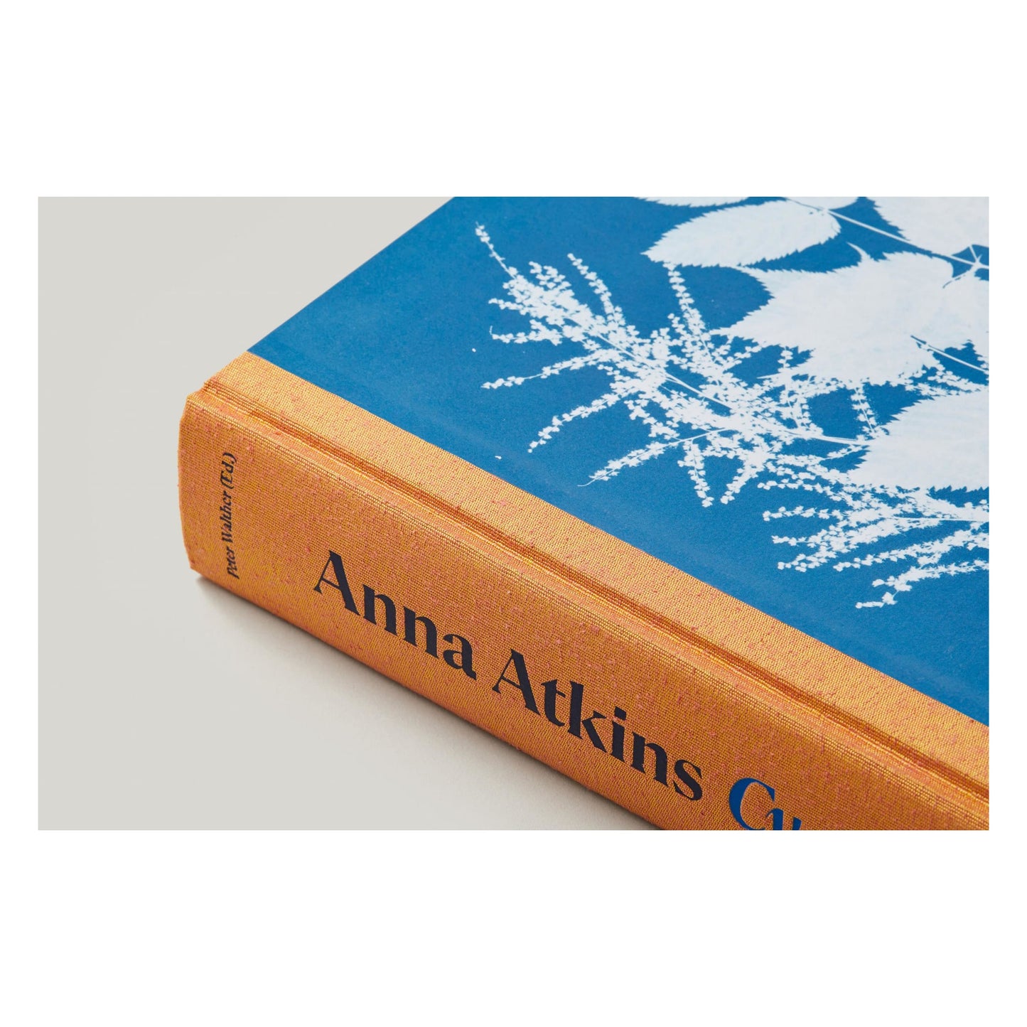 Anna Atkins. Cyanotypes (German, French, English) (FFE) Book