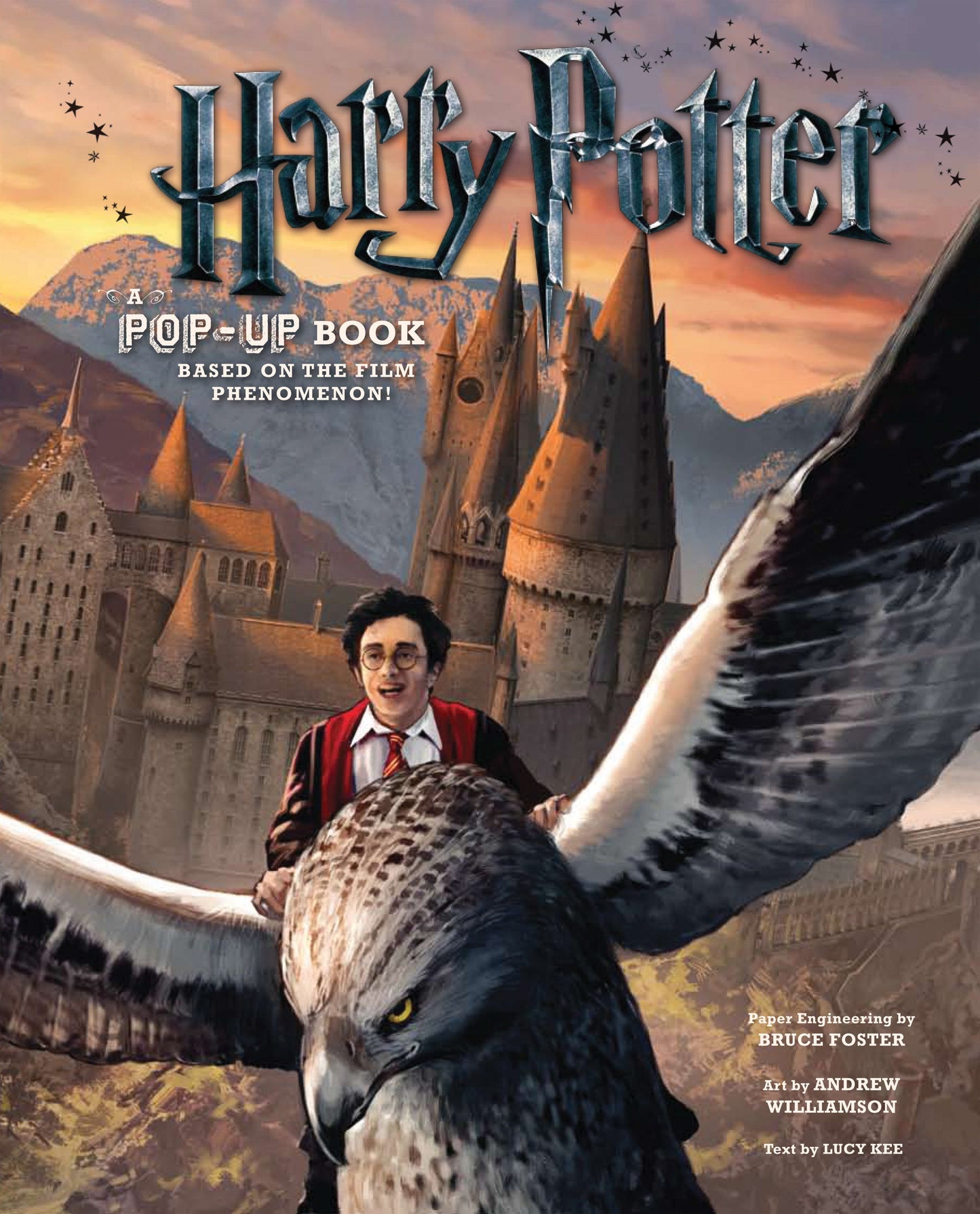 Harry Potter: A Pop-Up Book Hardcover Book