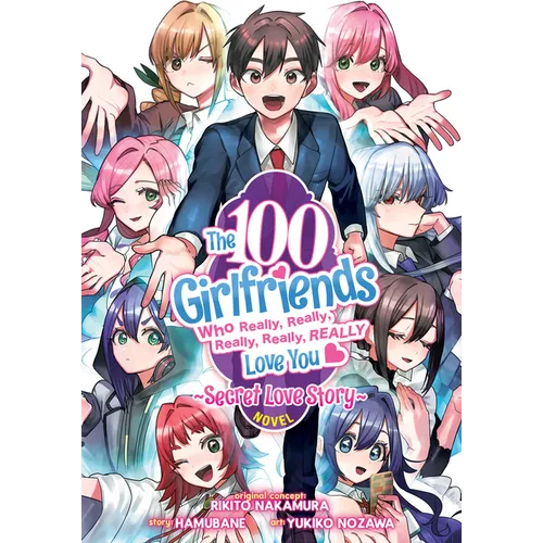 The 100 Girlfriends Who Really, Really, Really, Really, Really Love You: Secret Love Story (Light Novel)