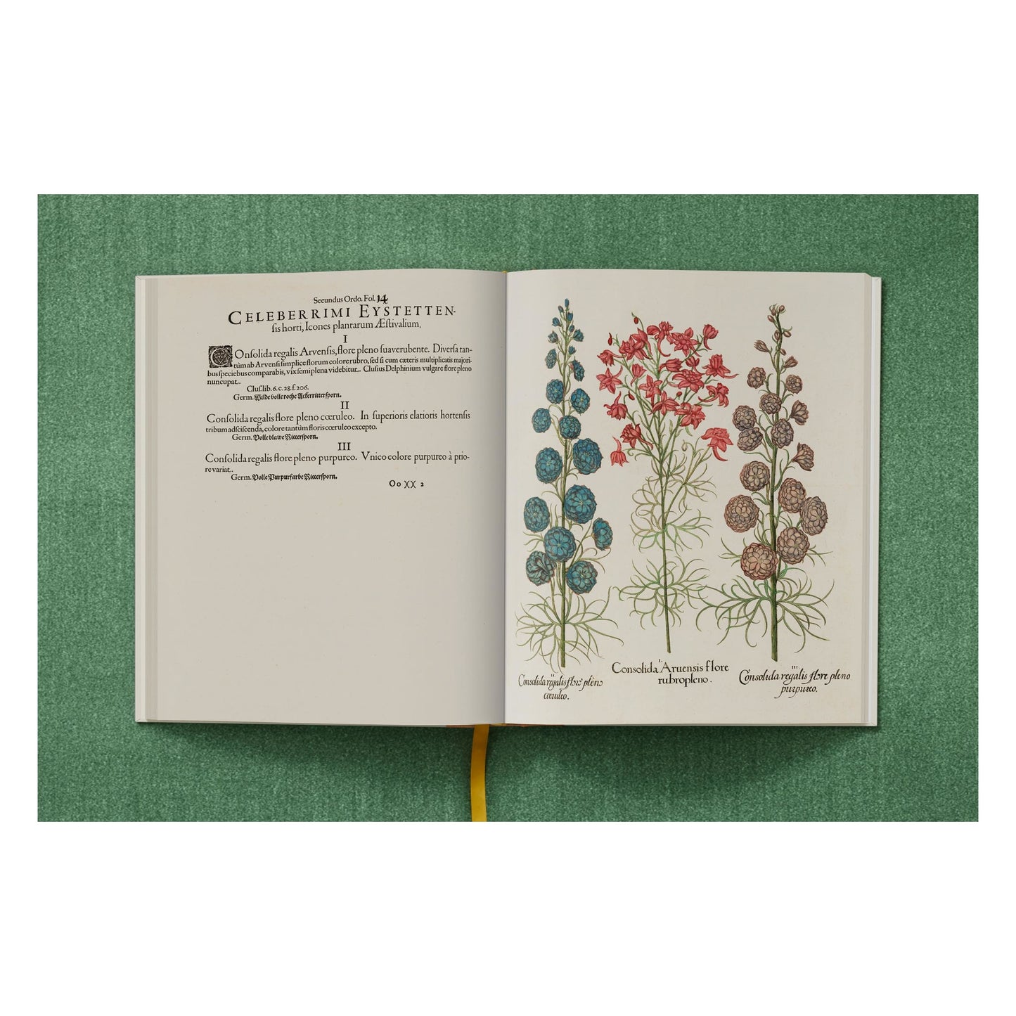 Basilius Besler. The Garden at Eichstätt (German, French, English) (FFE) Book