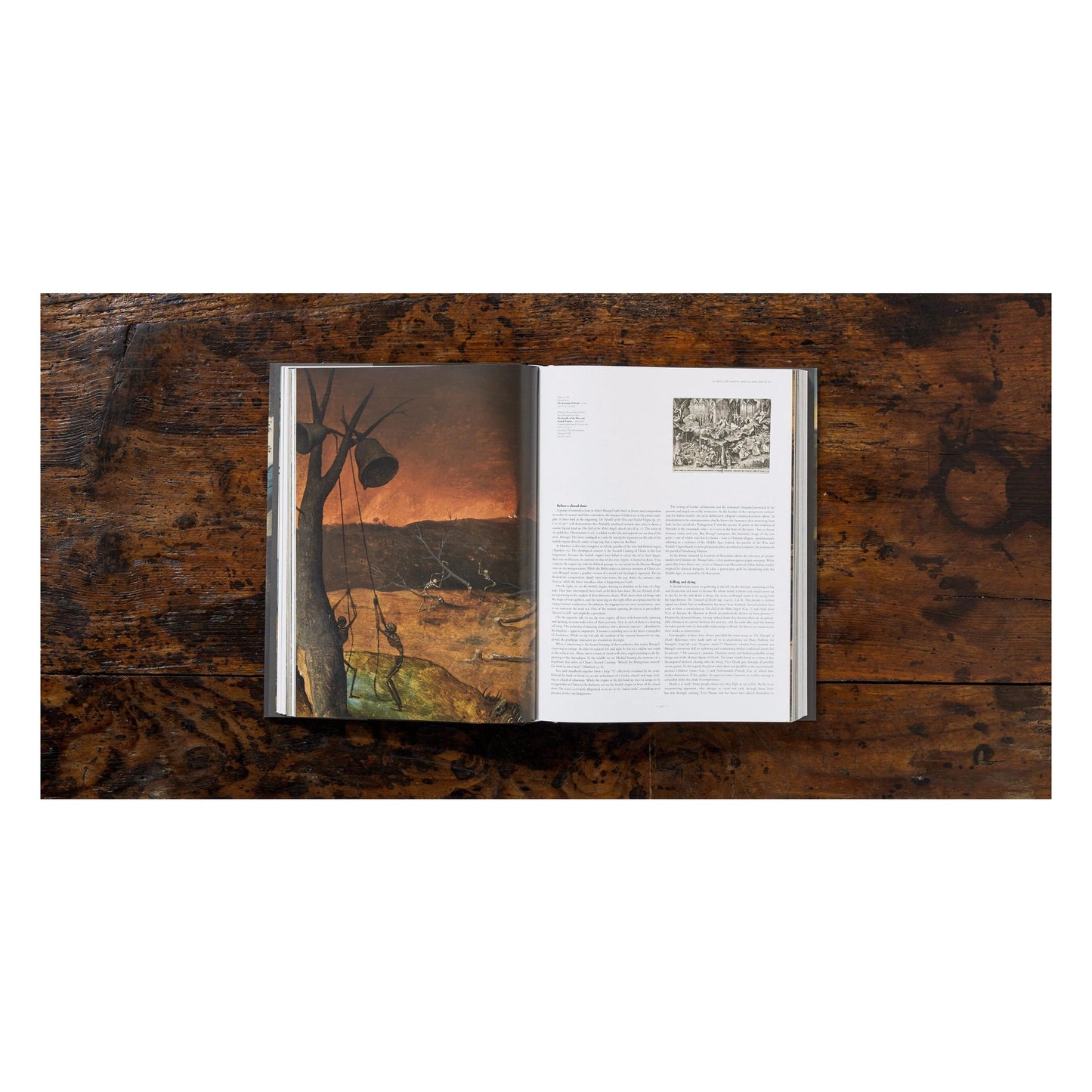Bruegel. The Complete Works (English) Book