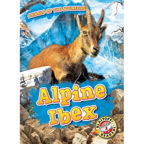 Alpine Ibex