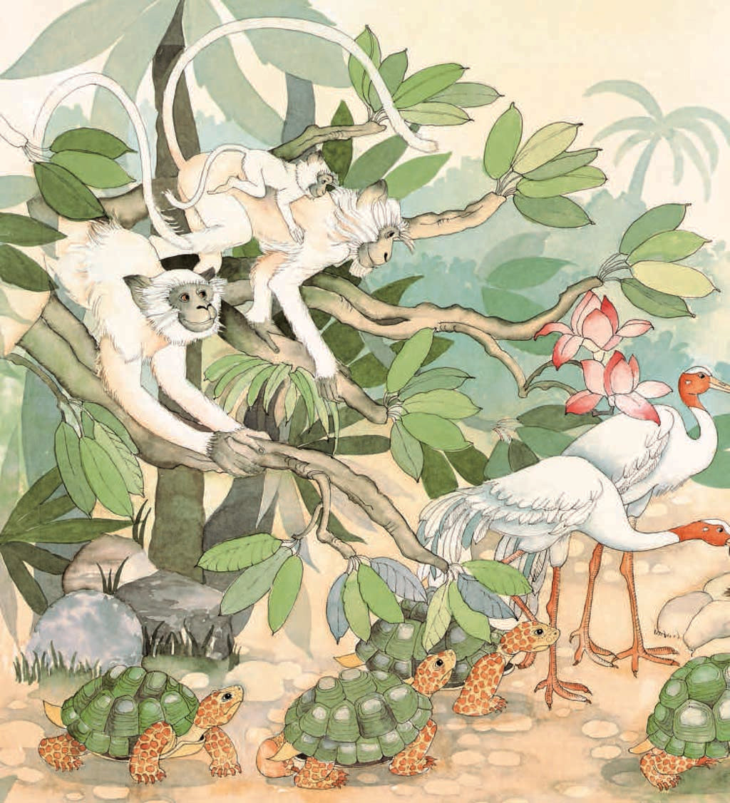 The Peaceable Forest Hardcover Book