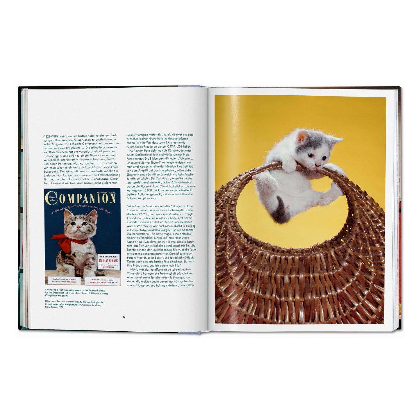 Walter Chandoha. Cats. Photographs 1942–2018 (German, French, English) Book