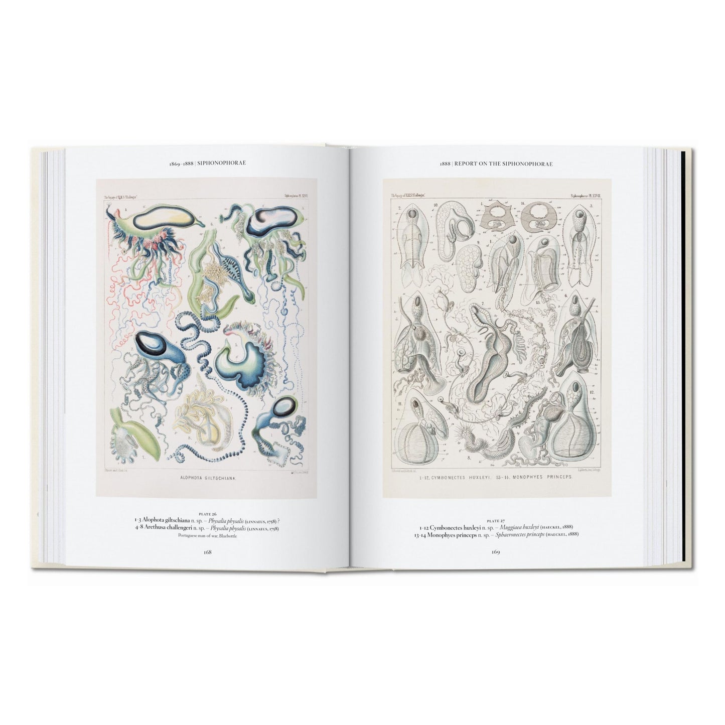The Art and Science of Ernst Haeckel. 45th Ed. (English) Book