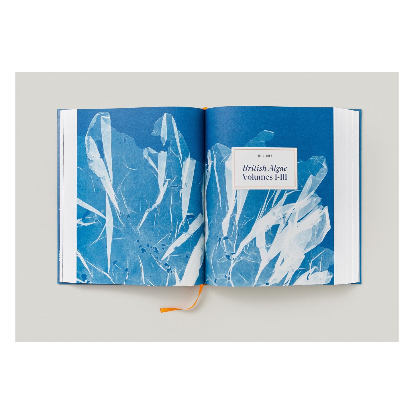 Anna Atkins. Cyanotypes (German, French, English) (FFE) Book