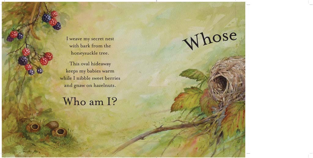 Whose Nest? Hardcover Book