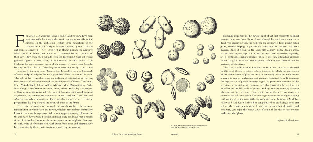 Pollen