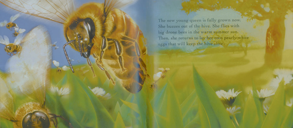 Bee Life Hardcover Book