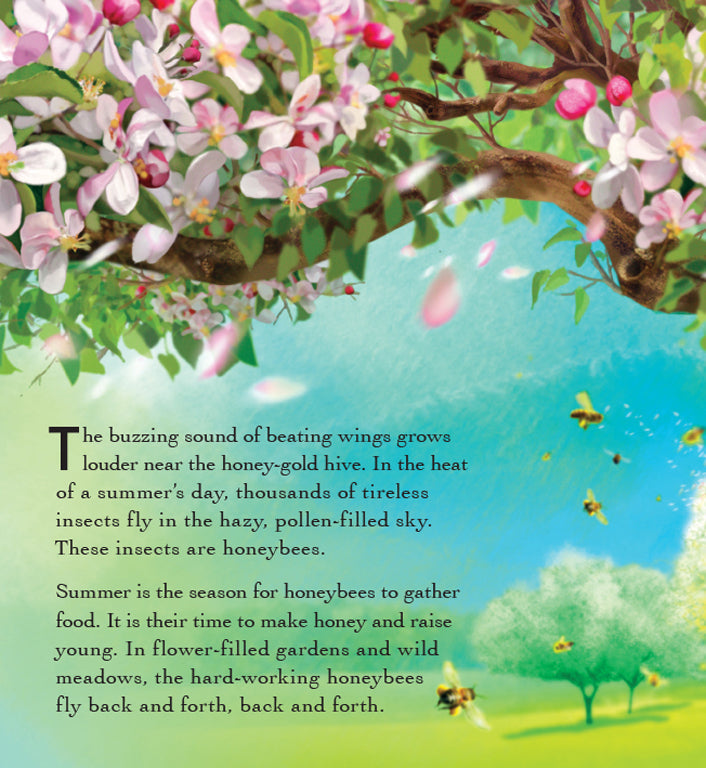 Bee Life Hardcover Book