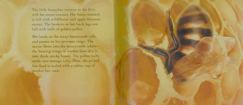 Bee Life Hardcover Book
