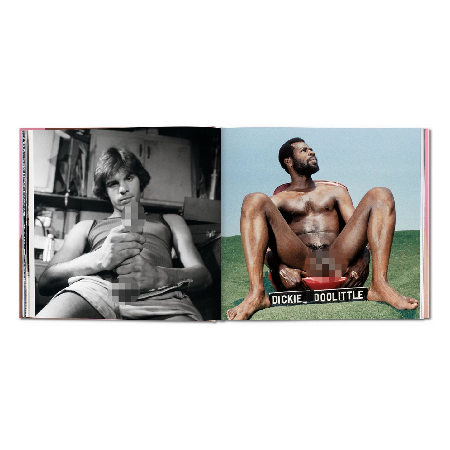 The Big Penis Book (German, French, English) Book