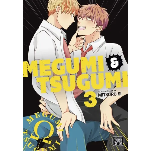 Megumi & Tsugumi, Vol. 3