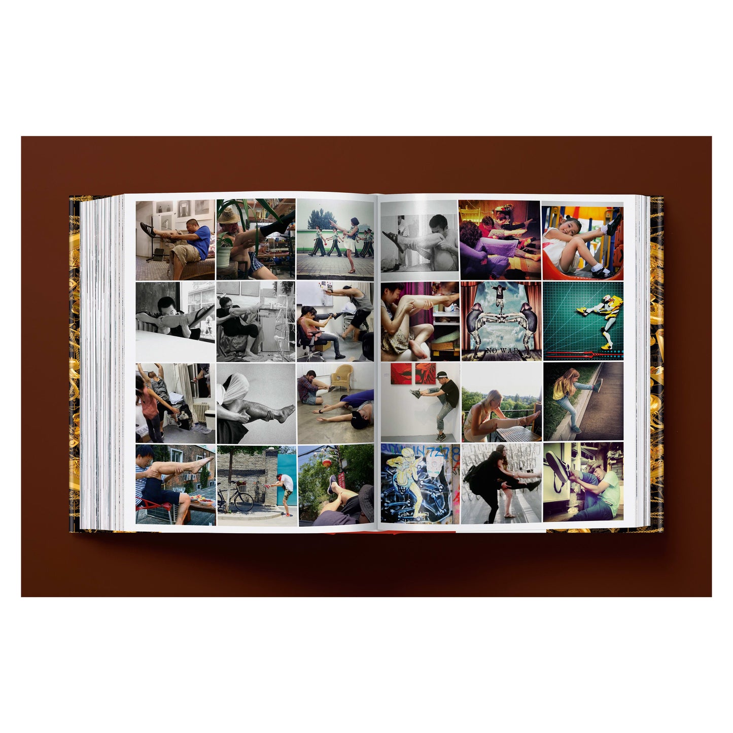 Ai Weiwei. Updated Edition (German, French, English) Book
