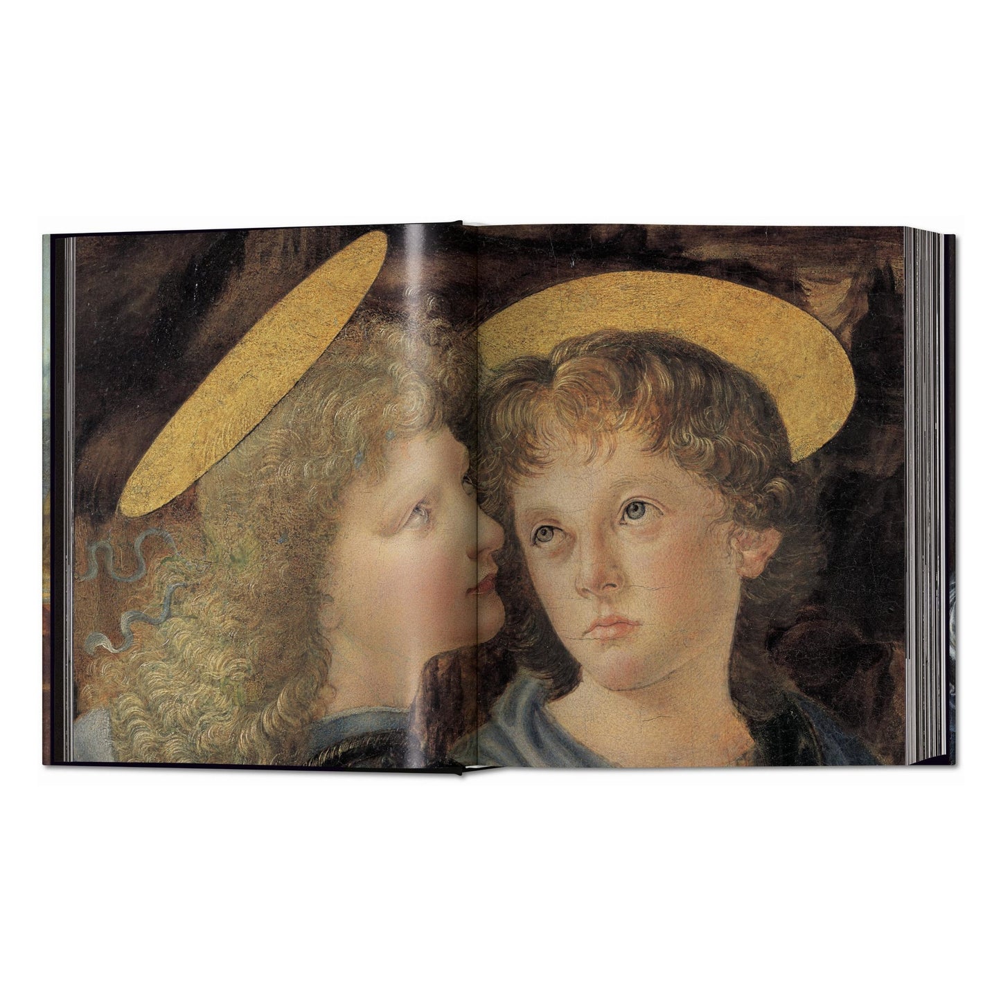 Leonardo. The Complete Paintings and Drawings (English) Book