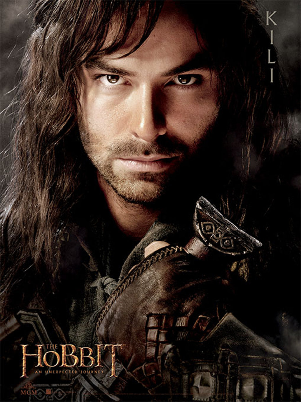 The Hobbit Softcover Book