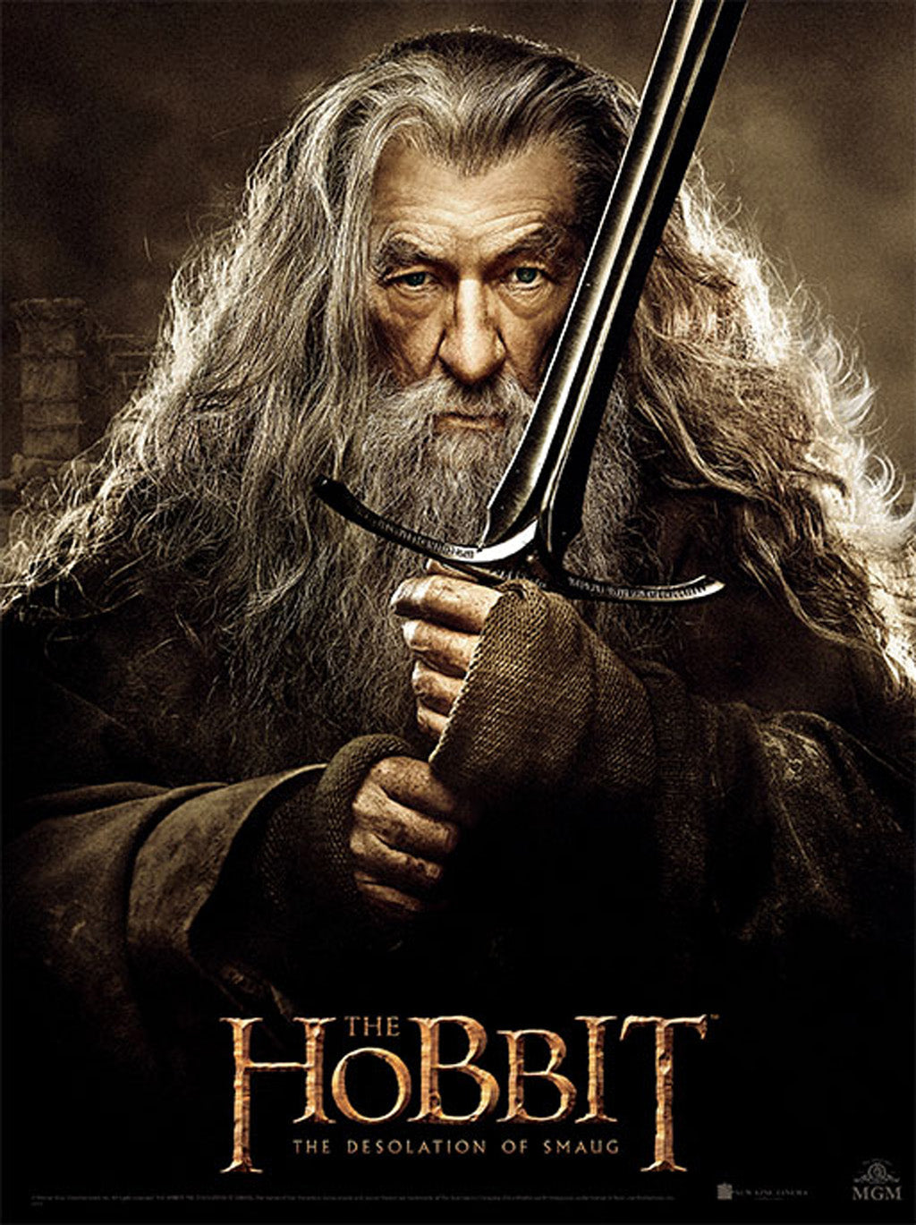 The Hobbit Softcover Book