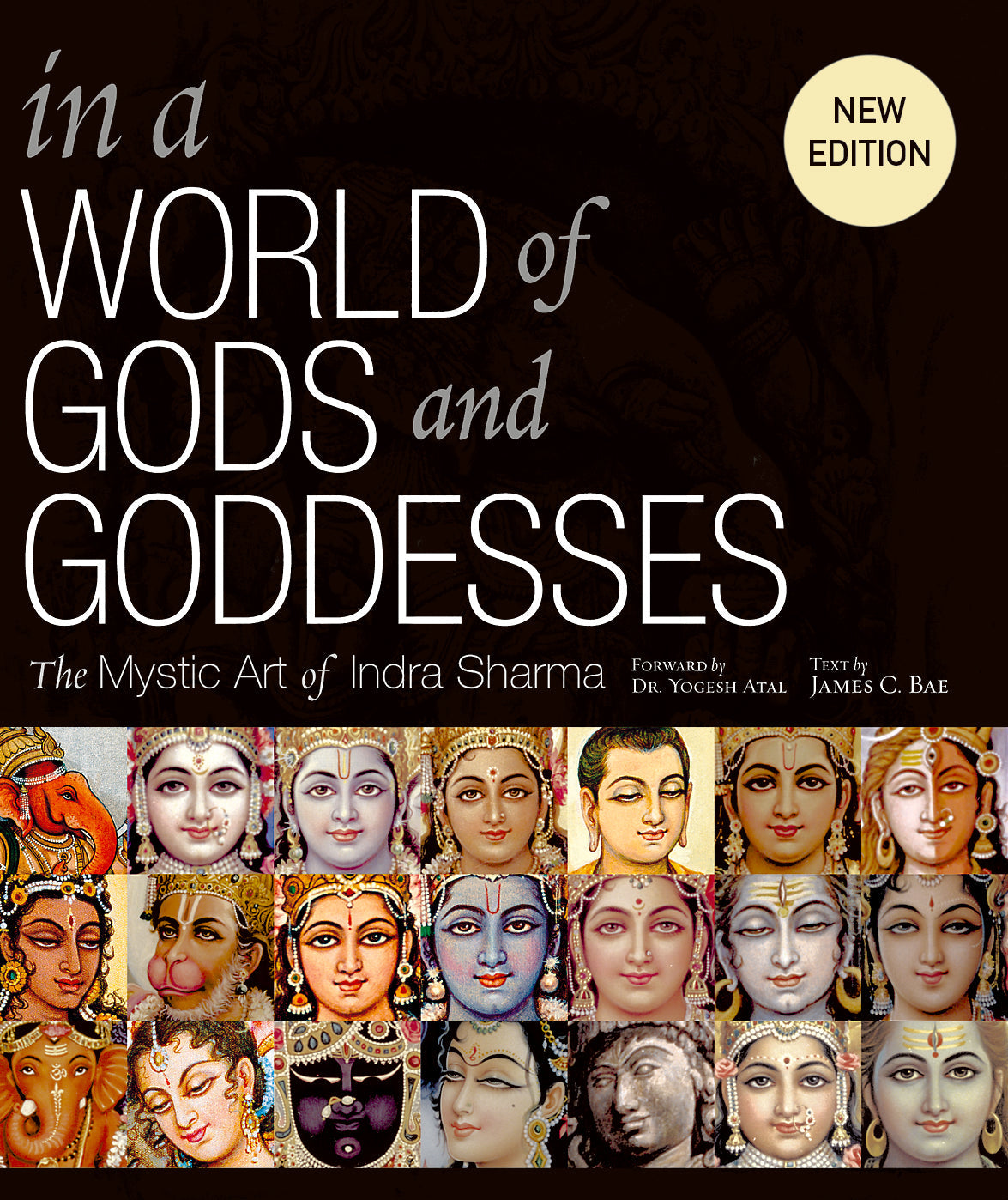 In a World of Gods and Goddesses Hardcover Book
