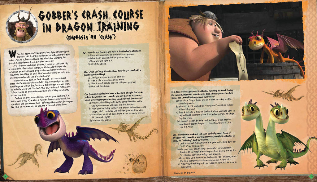 DreamWorks Dragons: To Berk and Beyond! Hardcover Book