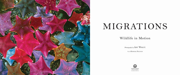 Migrations Hardcover Book