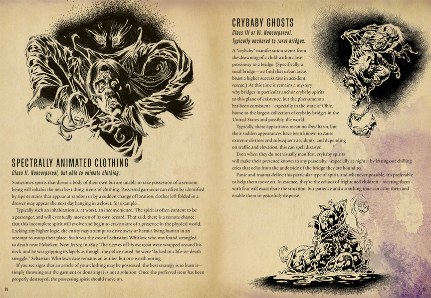 Tobin's Spirit Guide Hardcover Book