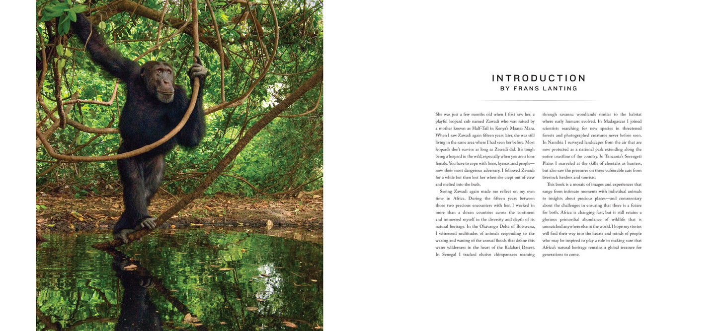 Into Africa Hardcover Book