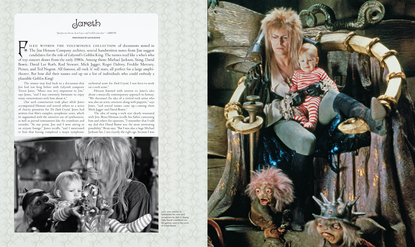 Labyrinth: The Ultimate Visual History Hardcover Book
