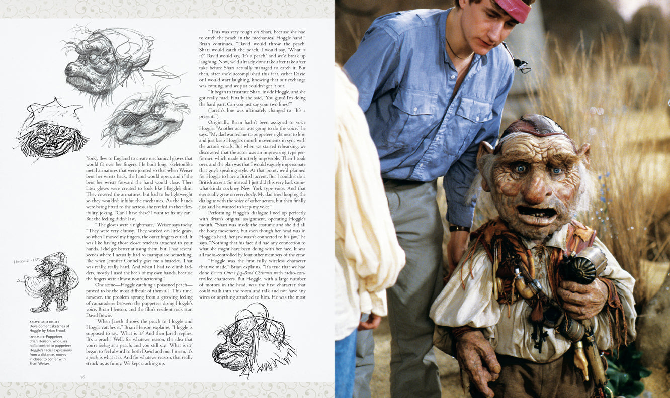 Labyrinth: The Ultimate Visual History Hardcover Book