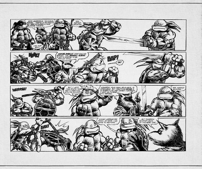 Teenage Mutant Ninja Turtles: Classic Hardcover Ruled Journal Hardcover Book