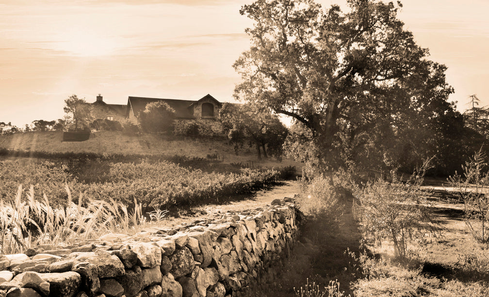 Napa Valley Cabernets Hardcover Book