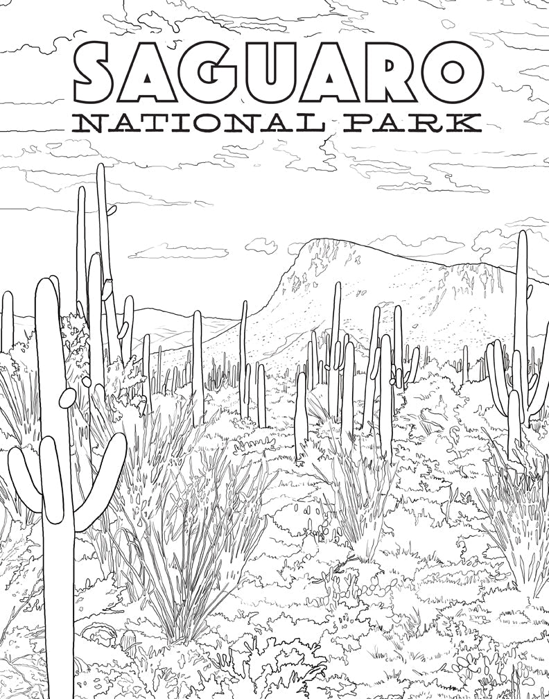 The National Parks Poster Coloring Book Softcover Book