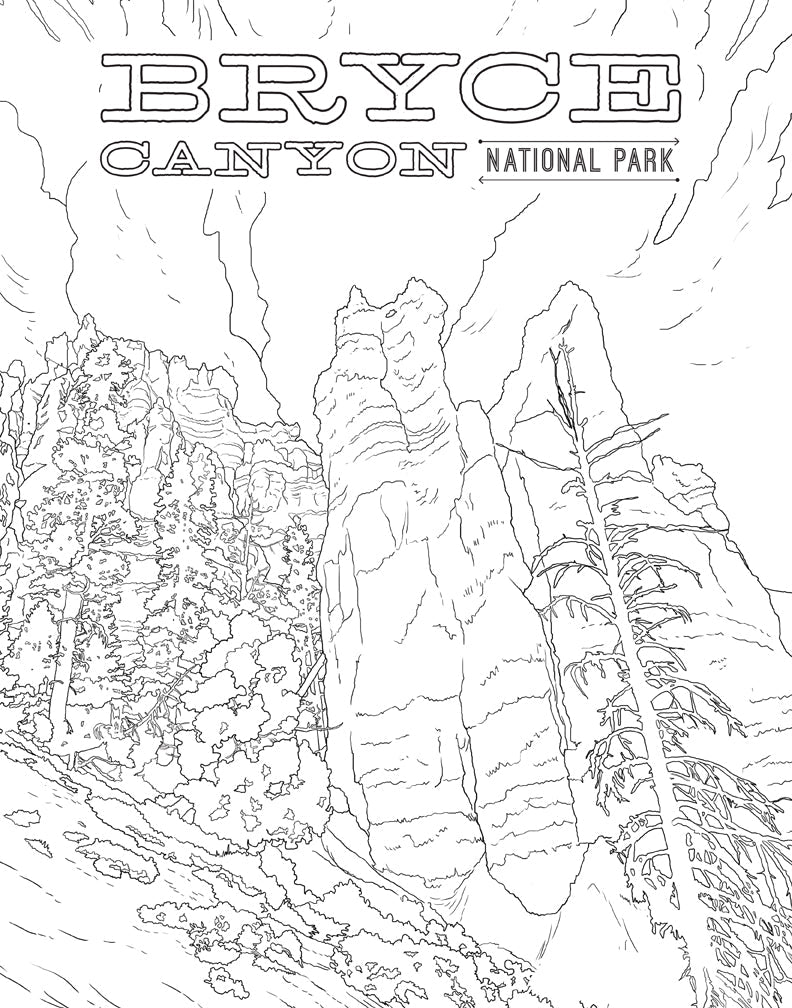 The National Parks Poster Coloring Book Softcover Book
