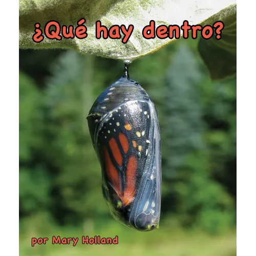 ¿Qué Hay Dentro?: What's Inside?
