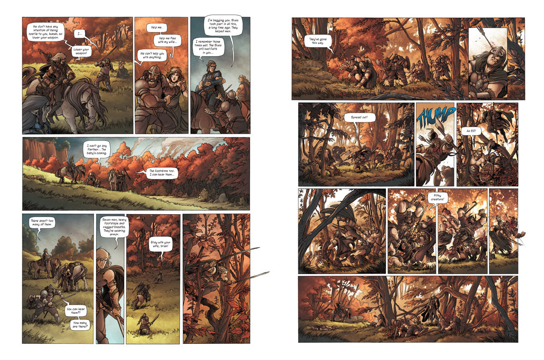 Elves, Vol. 2 Softcover Book