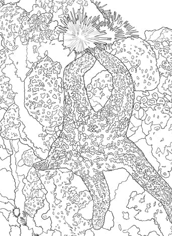 The National Parks Postcard Coloring Book Softcover Book