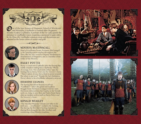 Harry Potter: Gryffindor Ruled Pocket Journal Hardcover Book
