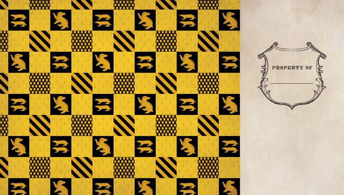 Harry Potter: Hufflepuff Ruled Pocket Journal Hardcover Book