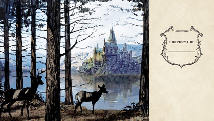 Harry Potter: Hogwarts Ruled Pocket Journal [Reformat] Hardcover Book