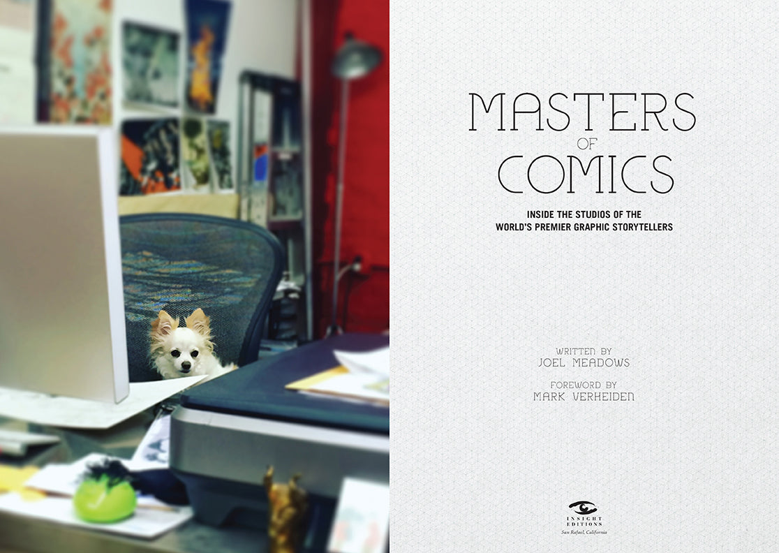 Masters of Comics Softcover Book
