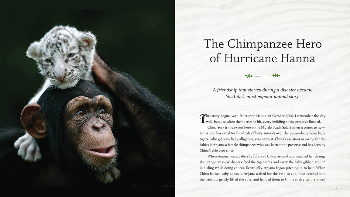 Wild Family Hardcover Book