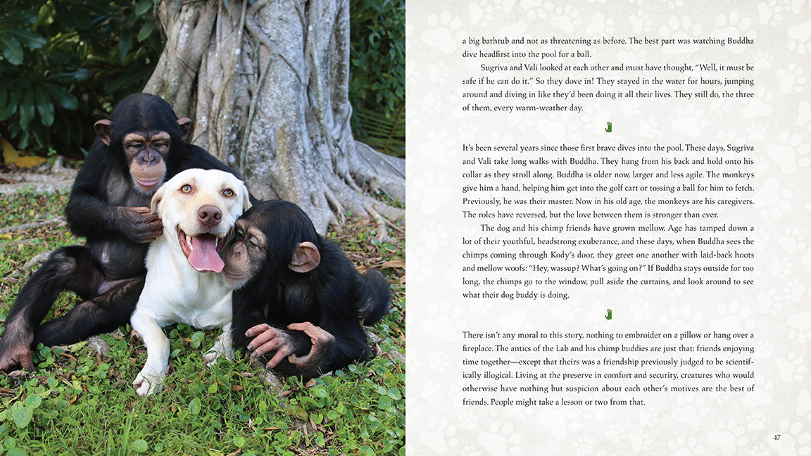Wild Family Hardcover Book