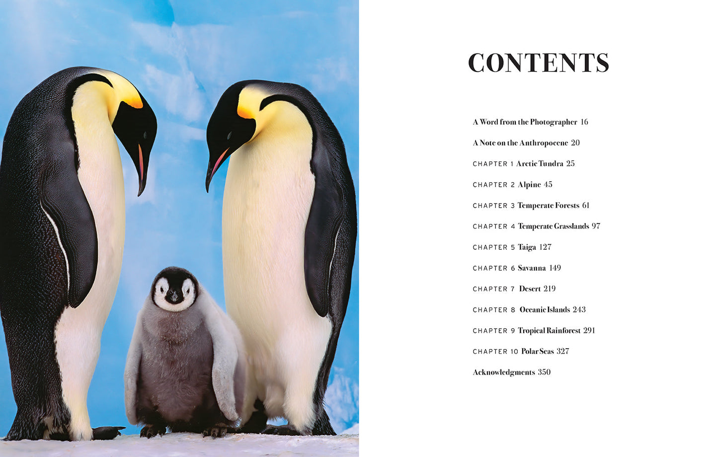 Wild Lives Hardcover Book