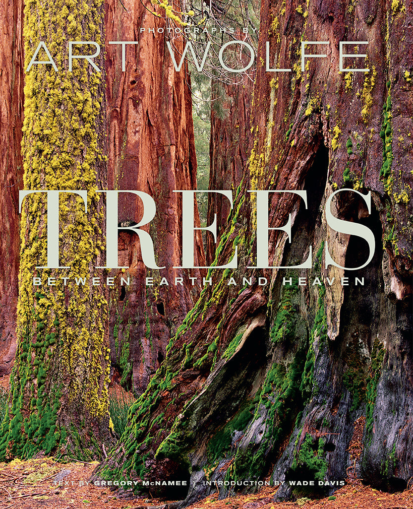 Trees Hardcover Book