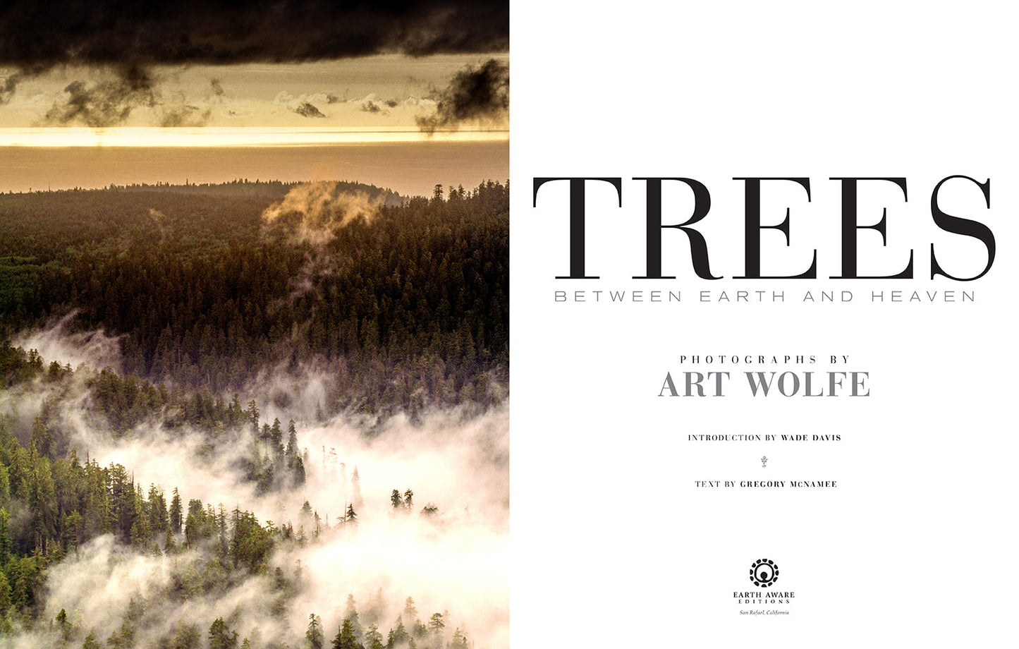 Trees Hardcover Book