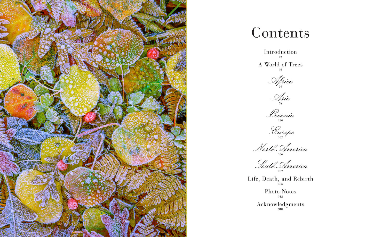 Trees Hardcover Book