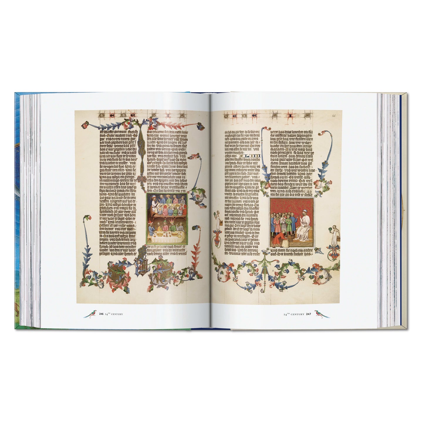 Codices illustres. The world's most famous illuminated manuscripts 400 to 1600 (English) Book