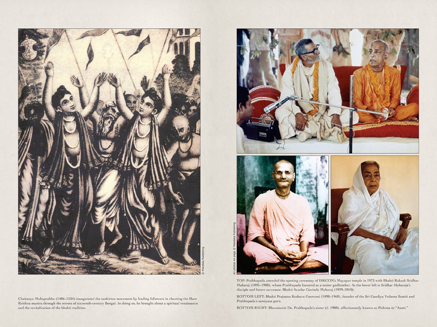 Swami in a Strange Land Softcover Book